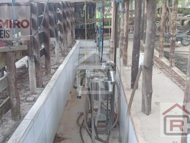Sítio e chácara venda em Sete Barras
