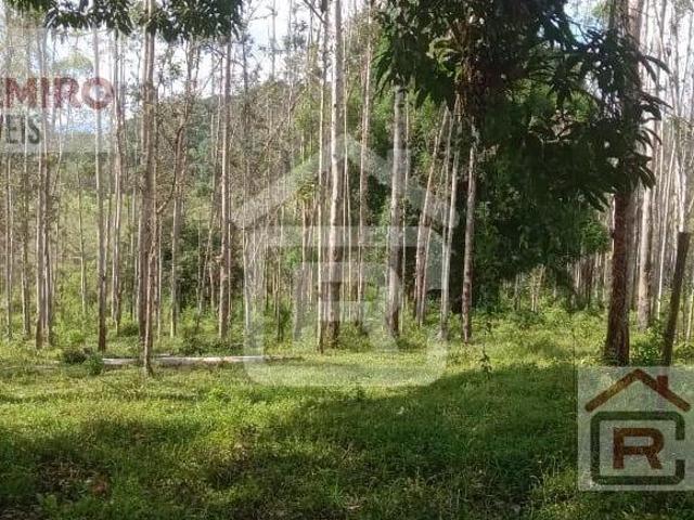 Sítio e chácara venda em Sete Barras