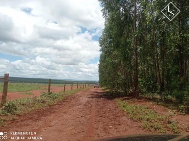 Sítio e chácara venda em Região Geográfica Imediata de Montes Claros, Engenheiro Navarro