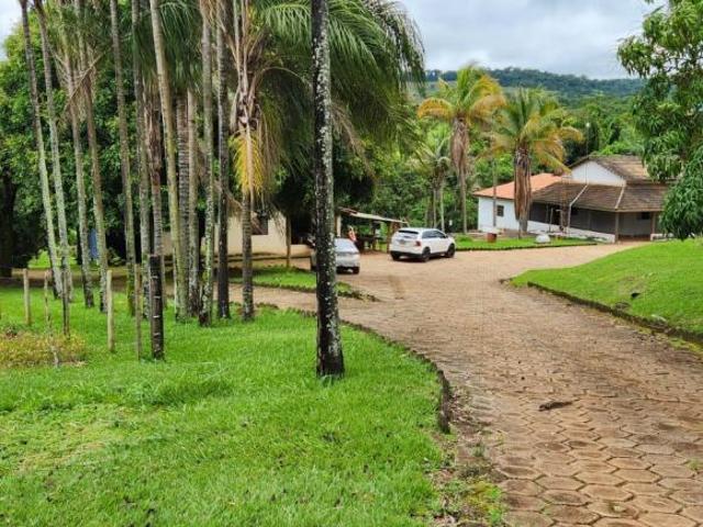 Sítio e chácara venda em Nerópolis
