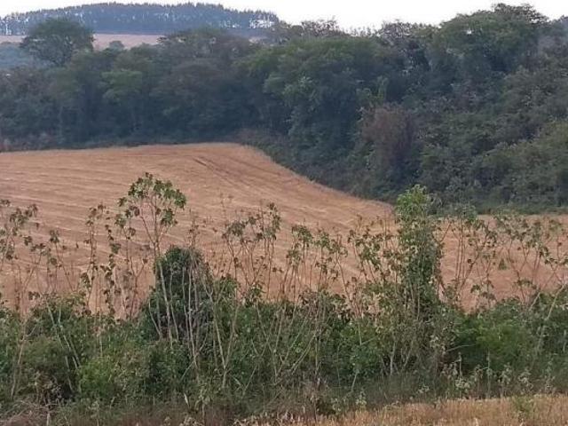 Sítio e chácara venda em Região Geográfica Imediata de Maringá, Marialva