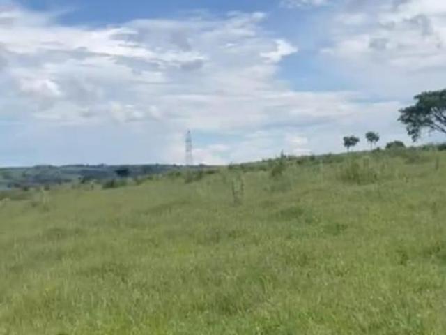 Sítio e chácara venda em Região Imediata de Marília, Marília