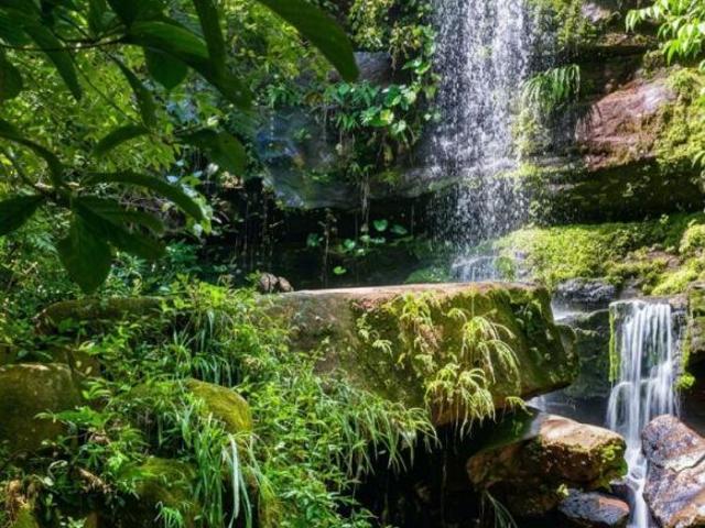 Sítio e chácara venda em Região Geográfica Imediata de Iporá, Israelândia