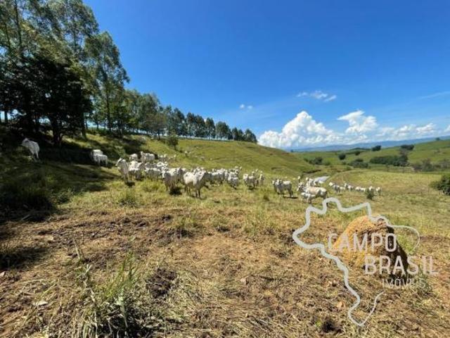 Sítio e chácara venda em Região Imediata de Cruzeiro, Região Metropolitana do Vale do Paraíba e Litoral Norte