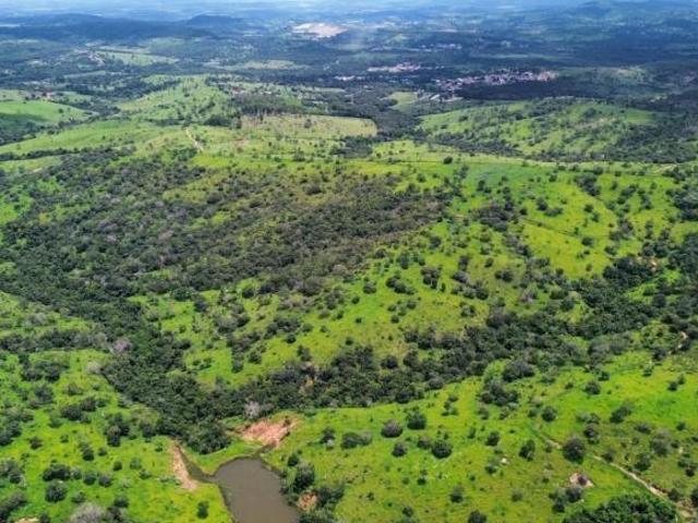 Sítio e chácara venda em Região Geográfica Imediata de Divinópolis, Pitangui