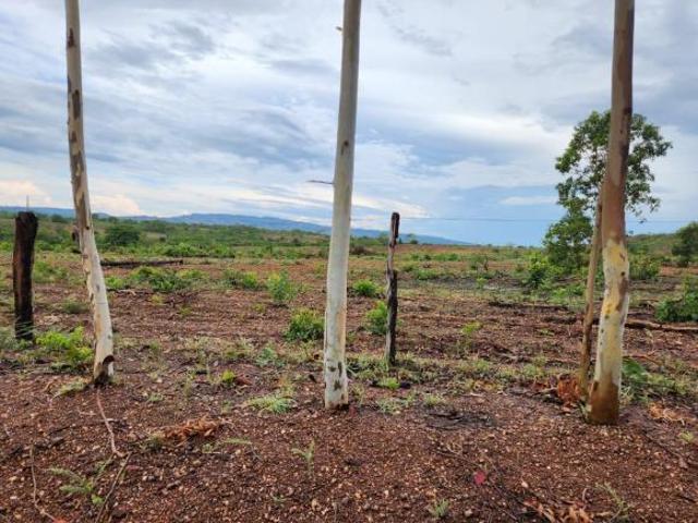 Sítio e chácara venda em Região Geográfica Imediata de Uruaçu - Niquelândia, Niquelândia