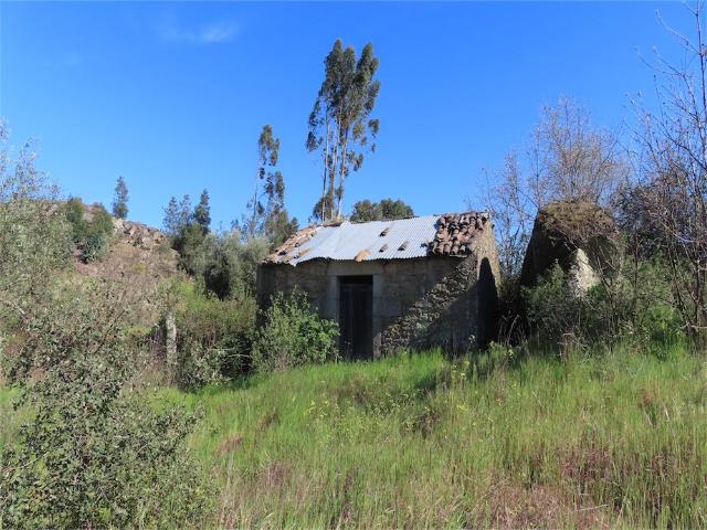Quinta venda em Castelo Branco