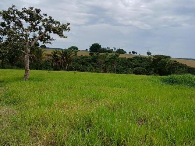 Sítio e chácara venda em Região Geográfica Imediata de Águas Lindas de Goiás, Região Integrada de Desenvolvimento do Distrito Federal e Entorno