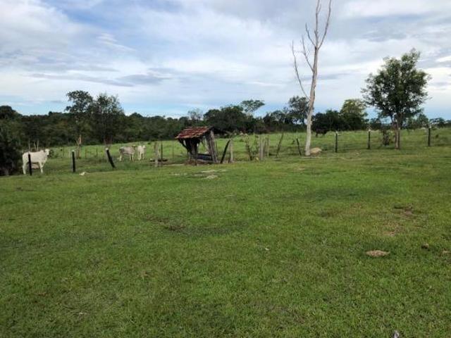 Sítio e chácara venda em Setor Novo Horizonte, Crixás