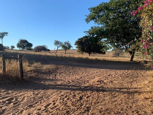 Sítio e chácara venda em Região Geográfica Imediata de Januária, Januária