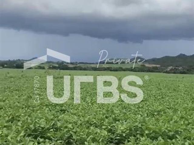 Ponto Comercial venda em Região Geográfica Imediata de Ceres - Rialma - Goianésia, Vila Propício