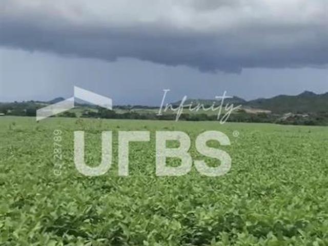 Ponto Comercial venda em Região Geográfica Imediata de Ceres - Rialma - Goianésia, Vila Propício