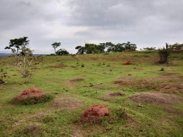 Sítio e chácara venda em Corumbá de Goiás, Região Geográfica Intermediária de Goiânia