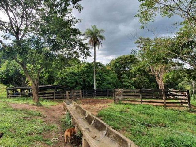 Sítio e chácara venda em Região Geográfica Imediata de Luziânia, Região Integrada de Desenvolvimento do Distrito Federal e Entorno