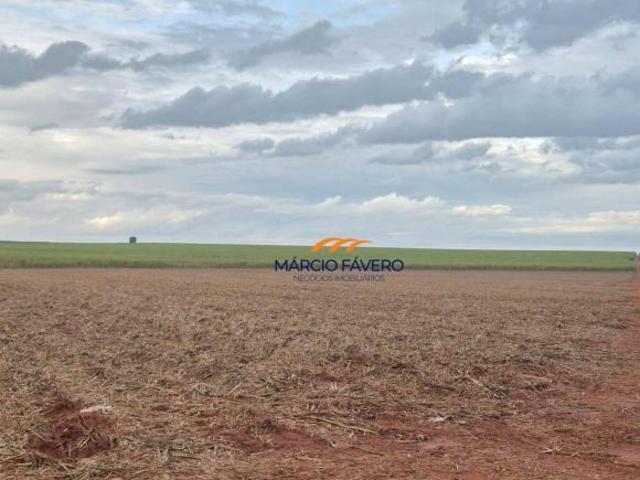 Sítio e chácara venda em Região Imediata de Presidente Prudente, Mirante do Paranapanema