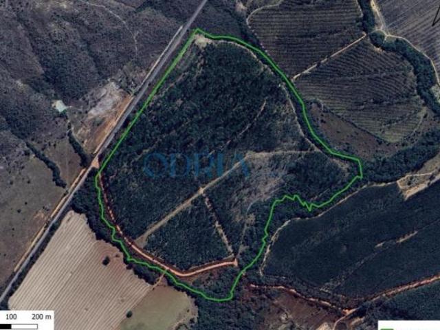 Sítio e chácara venda em Região Geográfica Imediata de Flores de Goiás, Cavalcante