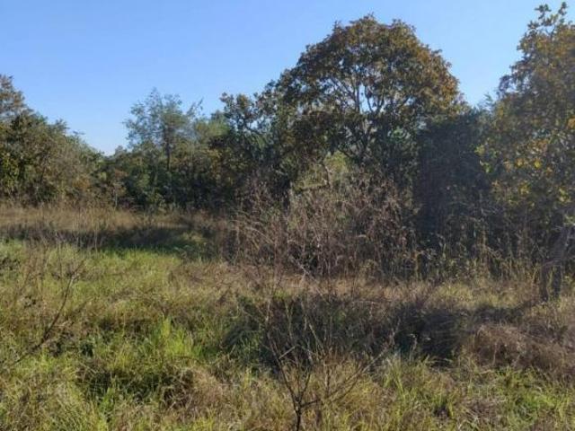 Sítio e chácara venda em Região Geográfica Imediata de Cuiabá, Região Metropolitana do Vale do Rio Cuiabá