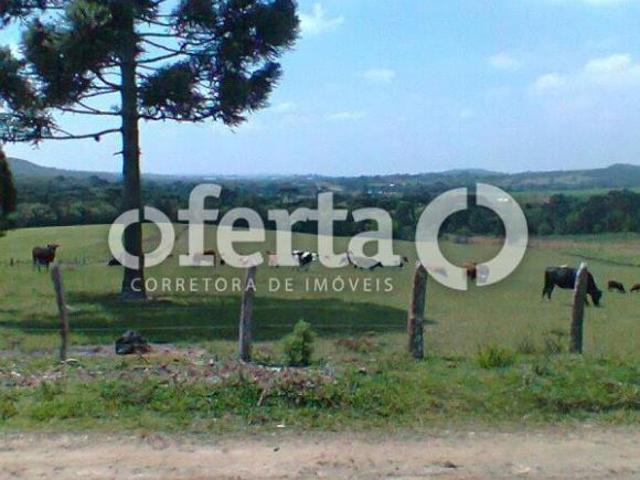 Sítio e chácara venda em Região Geográfica Imediata de Curitiba, Região Metropolitana de Curitiba
