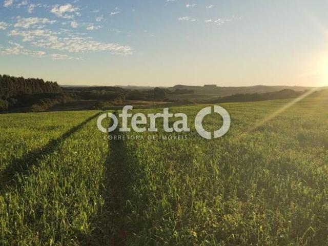Sítio e chácara venda em Região Geográfica Imediata de Curitiba, Região Metropolitana de Curitiba