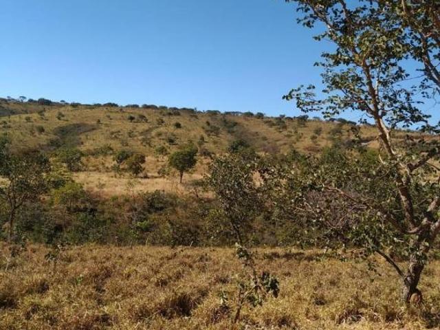 Sítio e chácara venda em Região Geográfica Imediata de Sete Lagoas, Região Metropolitana de Belo Horizonte