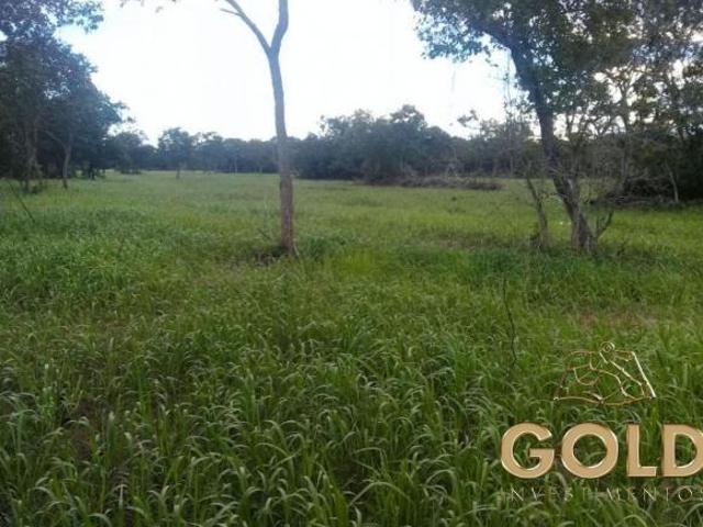 Sítio e chácara venda em Região Geográfica Imediata de Cáceres, Antônio João