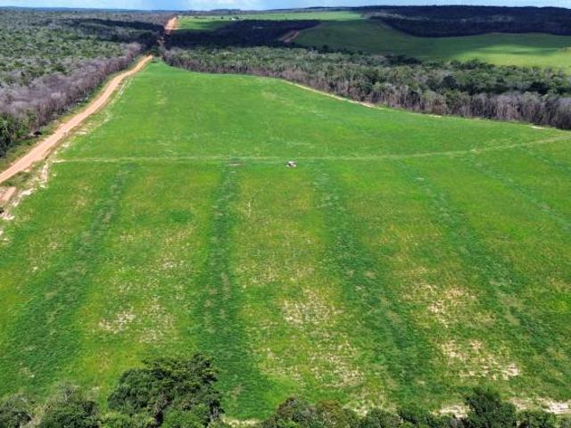 Sítio e chácara venda em Região Geográfica Imediata de Sorriso, Nova Mutum