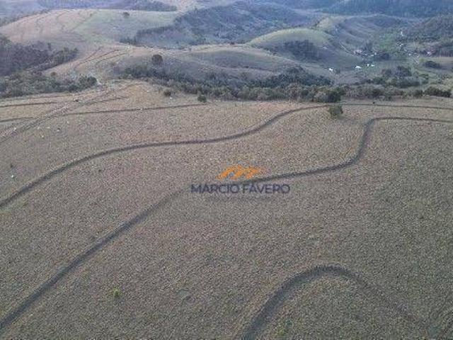 Sítio e chácara venda em Pardinho