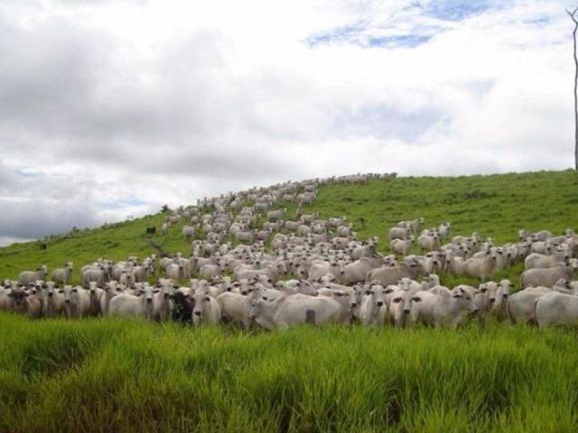 Sítio e chácara venda em Região Geográfica Imediata de Juína, Rondolândia