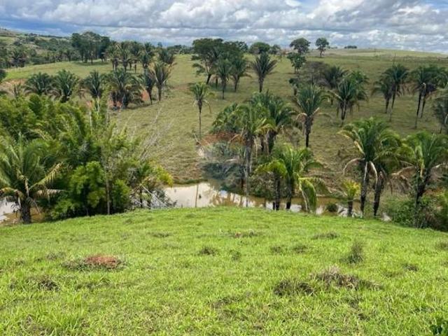 Sítio e chácara venda em Região Geográfica Imediata de Águas Lindas de Goiás, Região Integrada de Desenvolvimento do Distrito Federal e Entorno