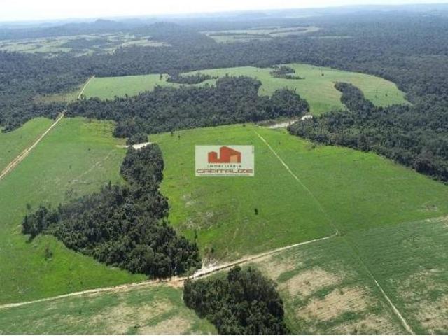 Sítio e chácara venda em Região Geográfica Imediata de Alta Floresta, Alta Floresta