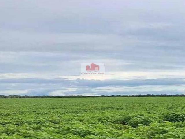 Sítio e chácara venda em Região Geográfica Imediata de Cuiabá, Região Metropolitana do Vale do Rio Cuiabá
