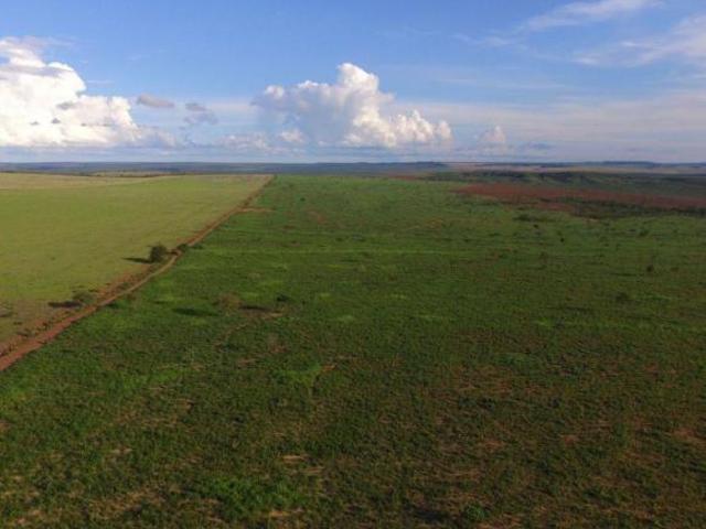 Sítio e chácara venda em Região Geográfica Imediata de Cuiabá, Região Metropolitana do Vale do Rio Cuiabá