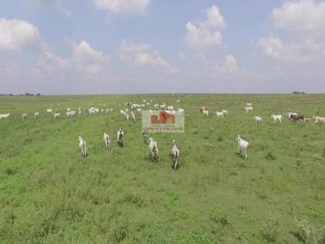 Sítio e chácara venda em Região Geográfica Imediata de Pontes e Lacerda - Comodoro, Campos de Julio