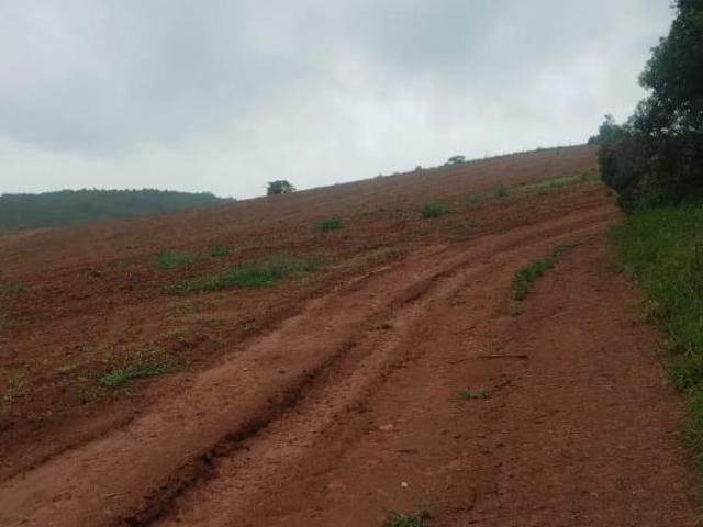 Sítio e chácara venda em Região Geográfica Imediata de Caxambu - Baependi, Cruzília