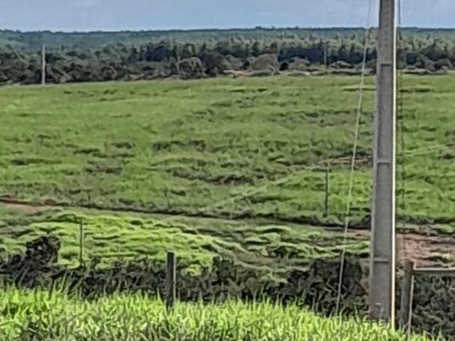 Sítio e chácara venda em Região Geográfica Imediata de Curvelo, Curvelo