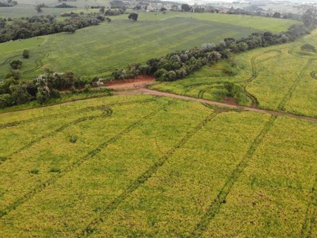 Sítio e chácara venda em Região Imediata de Itapeva, Itapeva