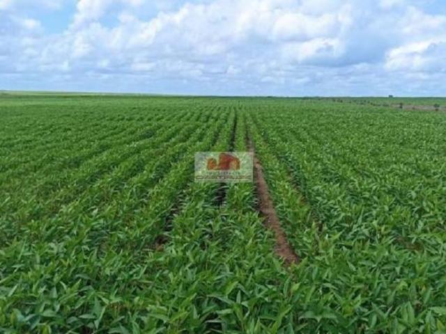 Sítio e chácara venda em Região Geográfica Imediata de Juara, Juara