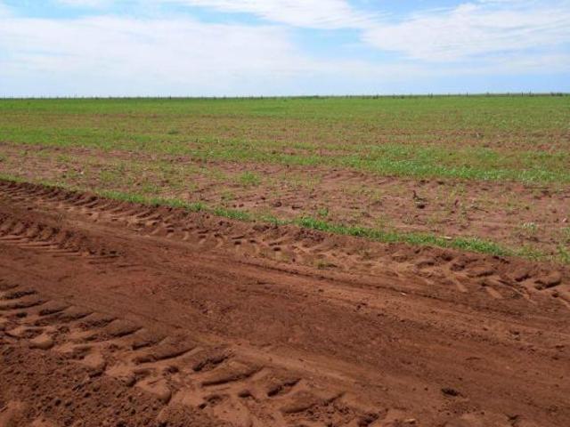 Sítio e chácara venda em Região Geográfica Imediata de Jaciara, Juscimeira
