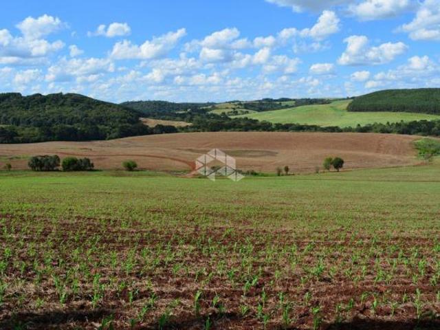 Sítio e chácara venda em Região Geográfica Imediata de Nova Prata - Guaporé, Prata