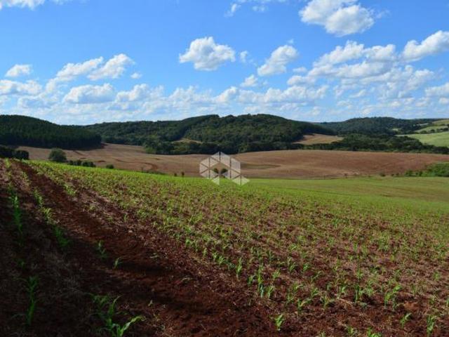 Sítio e chácara venda em Região Geográfica Imediata de Nova Prata - Guaporé, Prata