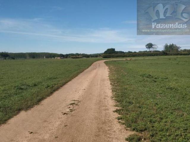 Sitio venda em Miranda, Miranda