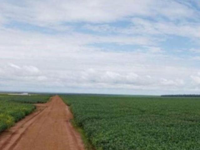 Sítio e chácara venda em Região Geográfica Imediata de Diamantino, Nova Maringa
