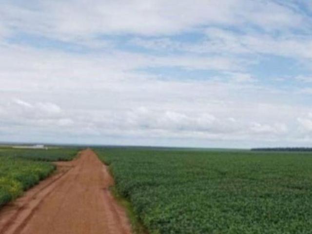 Sítio e chácara venda em Região Geográfica Imediata de Diamantino, Nova Maringa