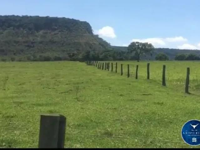 Fazenda venda em Região Geográfica Imediata de Quirinópolis, Quirinópolis