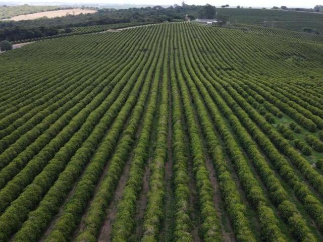Sítio e chácara venda em Região Geográfica Imediata de Patrocínio, Patrocínio