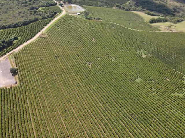 Sítio e chácara venda em Região Geográfica Imediata de Patrocínio, Patrocínio