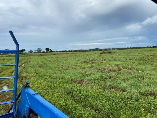 Sítio e chácara venda em Região Geográfica Imediata de Flores de Goiás, Região Integrada de Desenvolvimento do Distrito Federal e Entorno