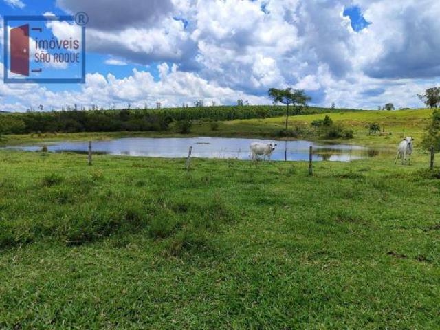 Sítio e chácara venda em Bofete
