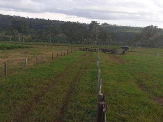 Sítio e chácara venda em Região Geográfica Imediata de Juara, Juara