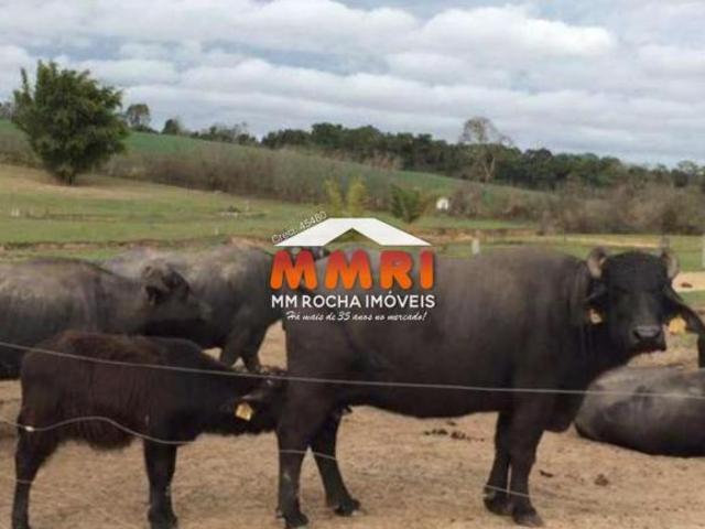 Sítio e chácara venda em Santana do Itararé, Região Geográfica Intermediária de Londrina